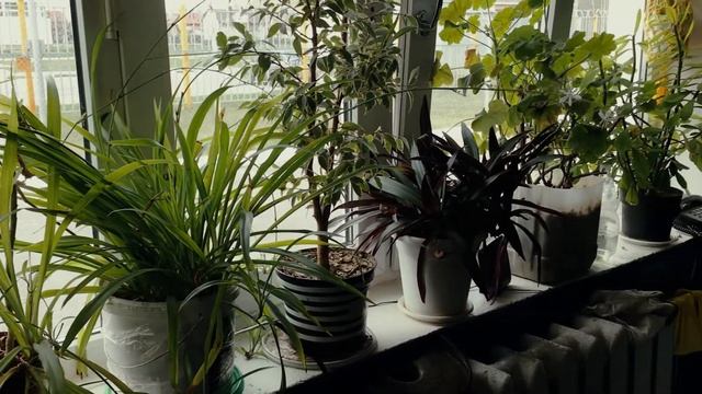 Релакс на работе смотреть онлайн