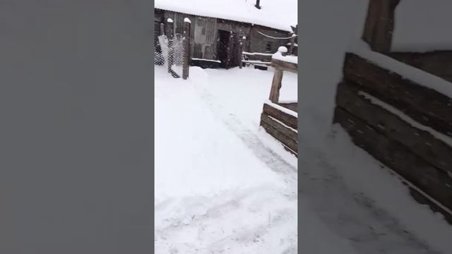 22 декабря, Великий Снегопад, Начало смотреть онлайн