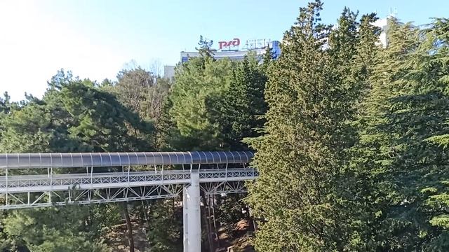 Хоста 5 ноября 2021г.По-летнему тепло.Погода балует. смотреть онлайн