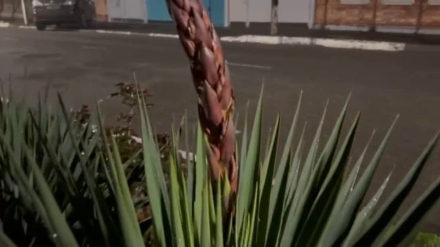 Ейск ! Работы, работами, а отдых нужен, купили билеты на поезд, собираются в дорогу и.............! смотреть онлайн