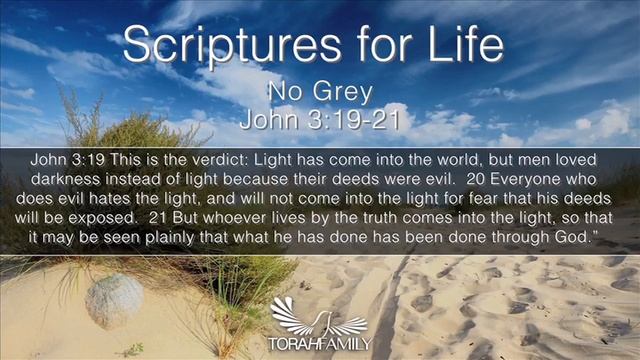 Scriptures for Life | No Grey смотреть онлайн