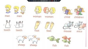 Множественное число существительных (исключения) в английском языке