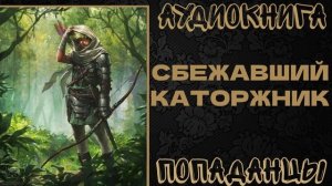 АУДИОКНИГА ПОПАДАНЦЫ: СБЕЖАВШИЙ КАТОРЖНИ. КНИГА 1