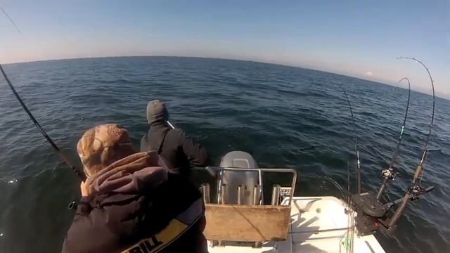 triplehook trolling salmon bornholm 26,18, 9 pounds смотреть онлайн