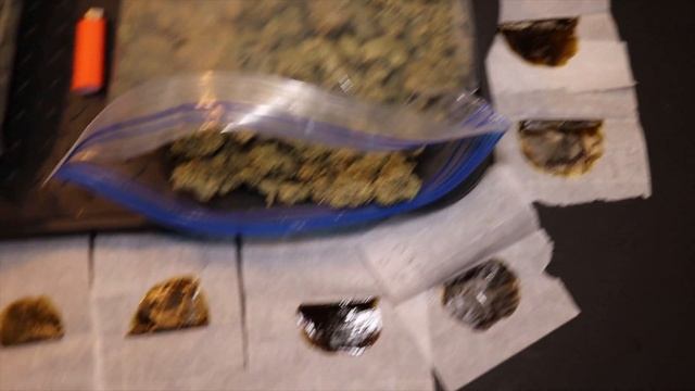 ONE PLANT, 2 LB: MASSIVE PLANT FINAL YIELD смотреть онлайн