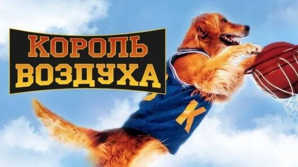 Король воздуха | Air Bud (1997)