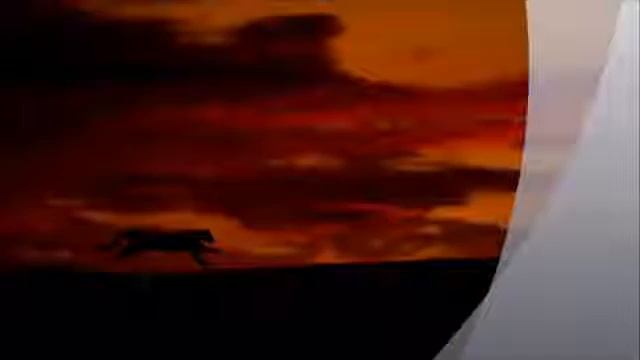 English - Amr Diab - Tamally Ma'ak- translations and lyrics смотреть онлайн