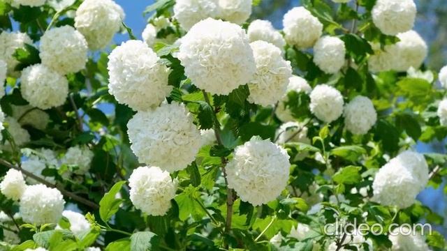 Свидетельство моей любви и встречи с Господом Иисусом Христом! смотреть онлайн