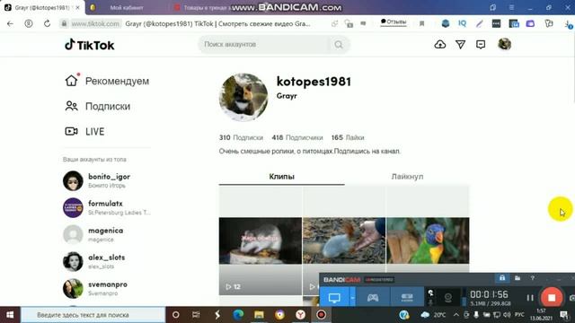 Схема заработка в тик ток Как заработать в Тик Токе новичку.