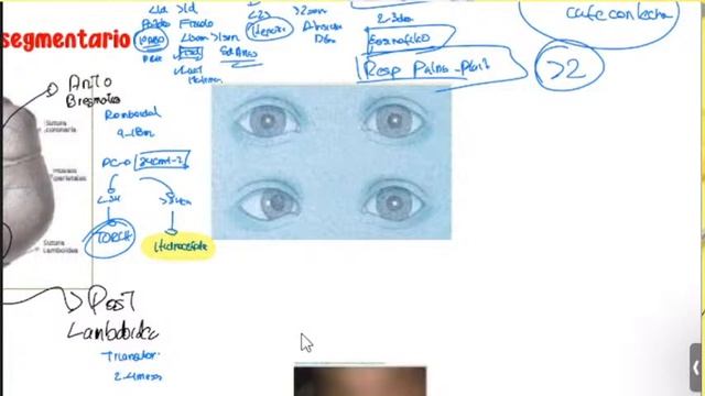 PEDIA TIPS- SEMIOLOGIA PEDIATRICA