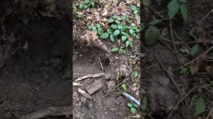 Магнитометр Гефест-4/Бог глубины.