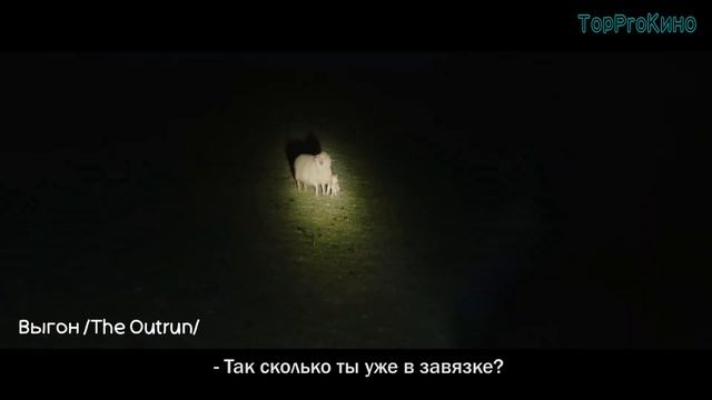 ТОП 7 ФИЛЬМОВ 2024 Которые ВЫ еще НЕ ВИДЕЛИ в Хорошем Качестве смотреть онлайн