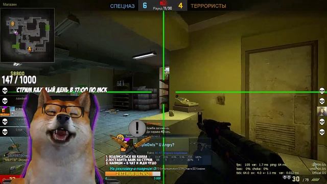 DOGE СТРИМ, ДОГИ СТРИМ, САМОЙ ПОЗИТИВНОЙ СОБАКИ CS:GO 100 ЧАСОВ смотреть онлайн