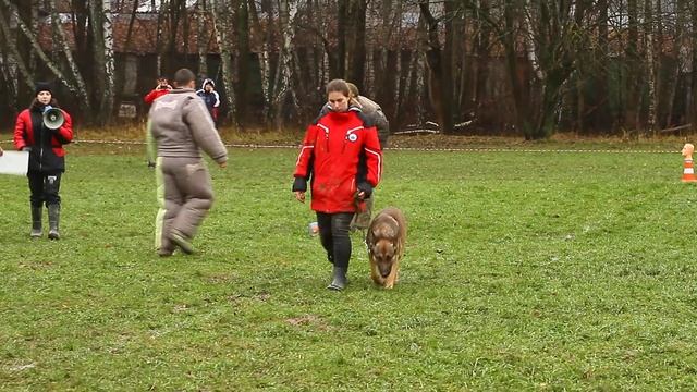 Соревнования по БРР. СДЦ Чертаново. 11.11.2017 смотреть онлайн