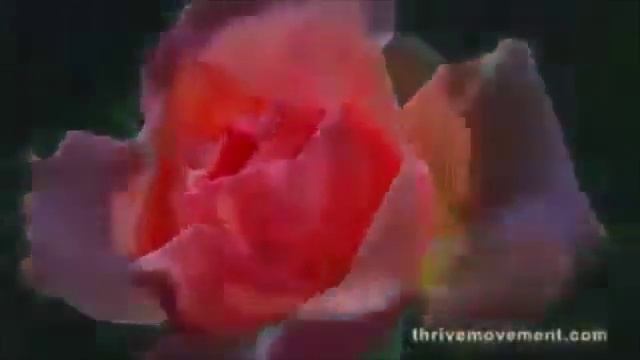 Процветание 1 смотреть онлайн