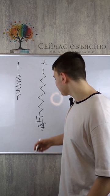ЗАКОН ГУКА‼️ #егэ #огэ #егэ2024 #егэ2023 #физика #физикаегэ #физикаогэ #егэфизика смотреть онлайн