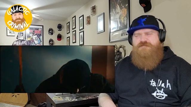 ALLEVIATE - Gravity (Ft. NIK NOCTURNAL) - Reaction / Review смотреть онлайн