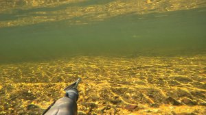 Подвохи Урала. Крещение. Идеальная охота.