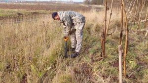 Коп вдоль совхозных полей.