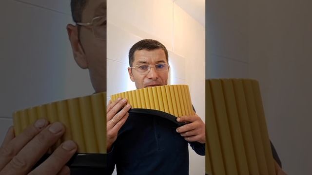 Одинокий пастух третий отрывок смотреть онлайн