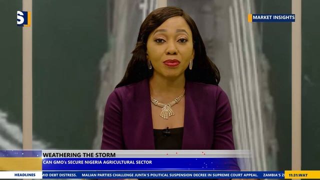 Can GMOs Secure Nigeria's Agricultural Sector? смотреть онлайн