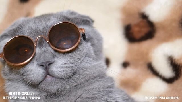 ОБАЛДЕННАЯ ПЕСНЯ! ВЫ ТАКУЮ УСЛЫШИТЕ В ПЕРВЫЙ РАЗ! смотреть онлайн