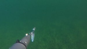 Подводная охота, эффект присутствия, рыбалка на карьере. Красота под водой. Прикольно получилось.