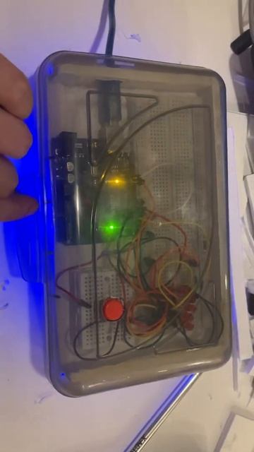 Project demo смотреть онлайн