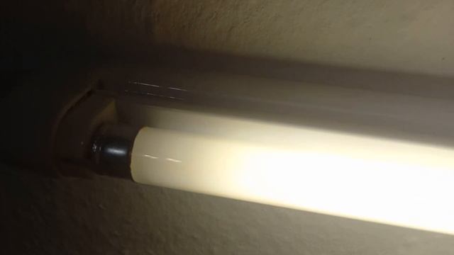 EOL T5 13 Watt 4000k Elektrode defekt смотреть онлайн