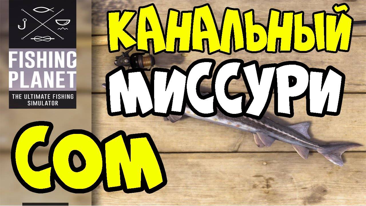 Fishing Planet  Канальный Сом.