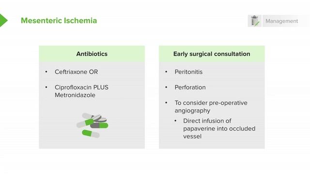 3.09 Mesenteric Ischemia- Management смотреть онлайн