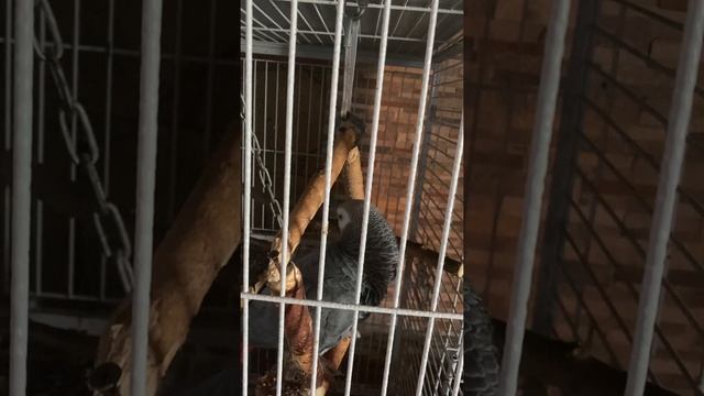 Доброе утро Григорий💕 смотреть онлайн