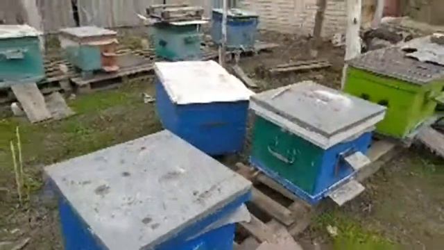 1 Мая 2021 Тепло и дождик смотреть онлайн