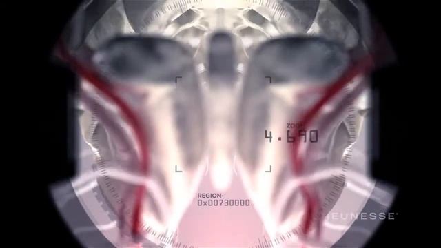 ZEN BODI™ новый продукт jeunesse смотреть онлайн