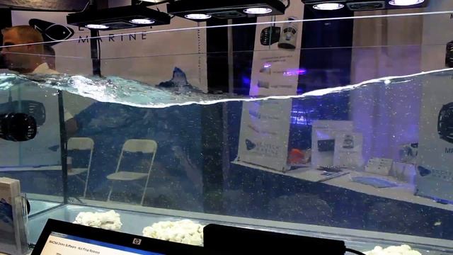 EcoTech Marine Radion XR30w