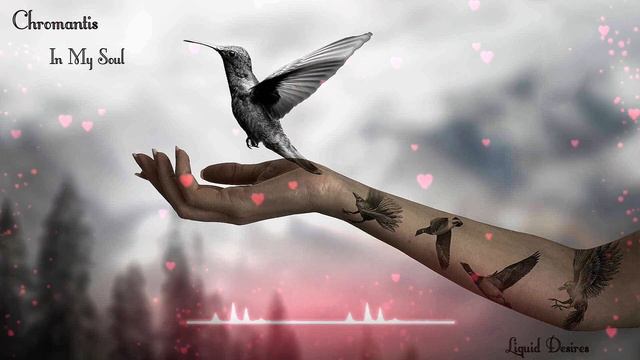 Chromantis In My Soul#deep #atmospheric #liquid #drumnbass #dnbrollers #chilled #dnb #music#melodic смотреть онлайн