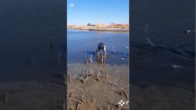 охота на рыбалка смотреть онлайн