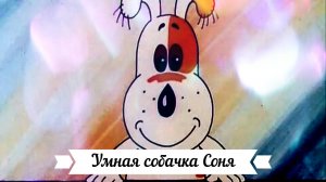 Умная собачка Соня