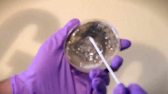 Contagion - Bacteria Billboard (Full HD).mp4 смотреть онлайн
