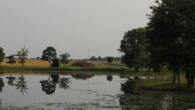 Antigens and antibodies Review at end test1 смотреть онлайн