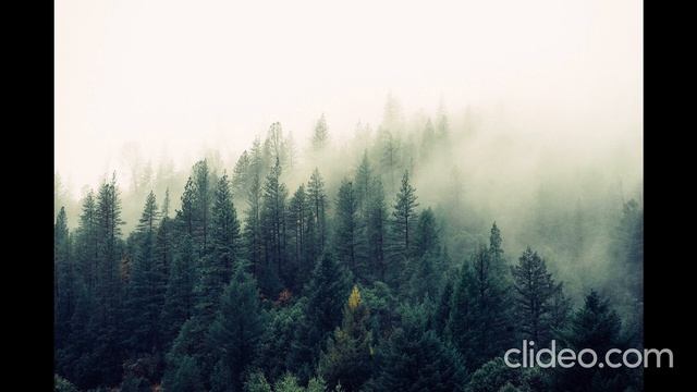 Музыка для релаксации смотреть онлайн