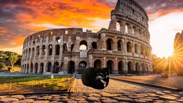 Maxwell the Cat Dance in Different years part 13 смотреть онлайн