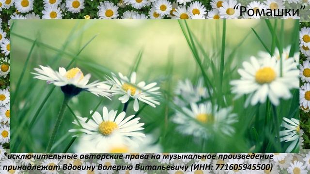 Ромашки (вариация 2) смотреть онлайн