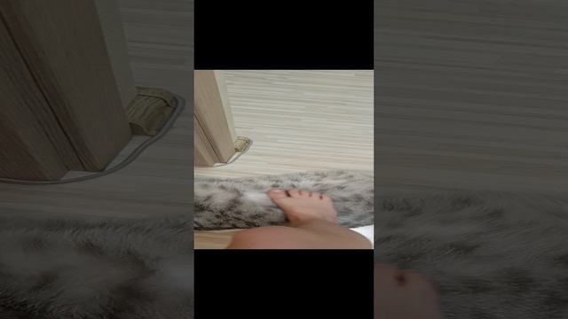 мой котик бантик