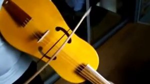 Viola da braccio