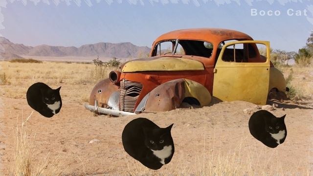Maxwell the Cat Dance in Different years episode 78 sound variations смотреть онлайн