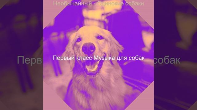 Атмосфера (Собаки) смотреть онлайн
