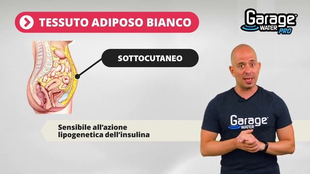 Come rimuovere il grasso ostinato | Video estratto da Garage Water® PRO смотреть онлайн