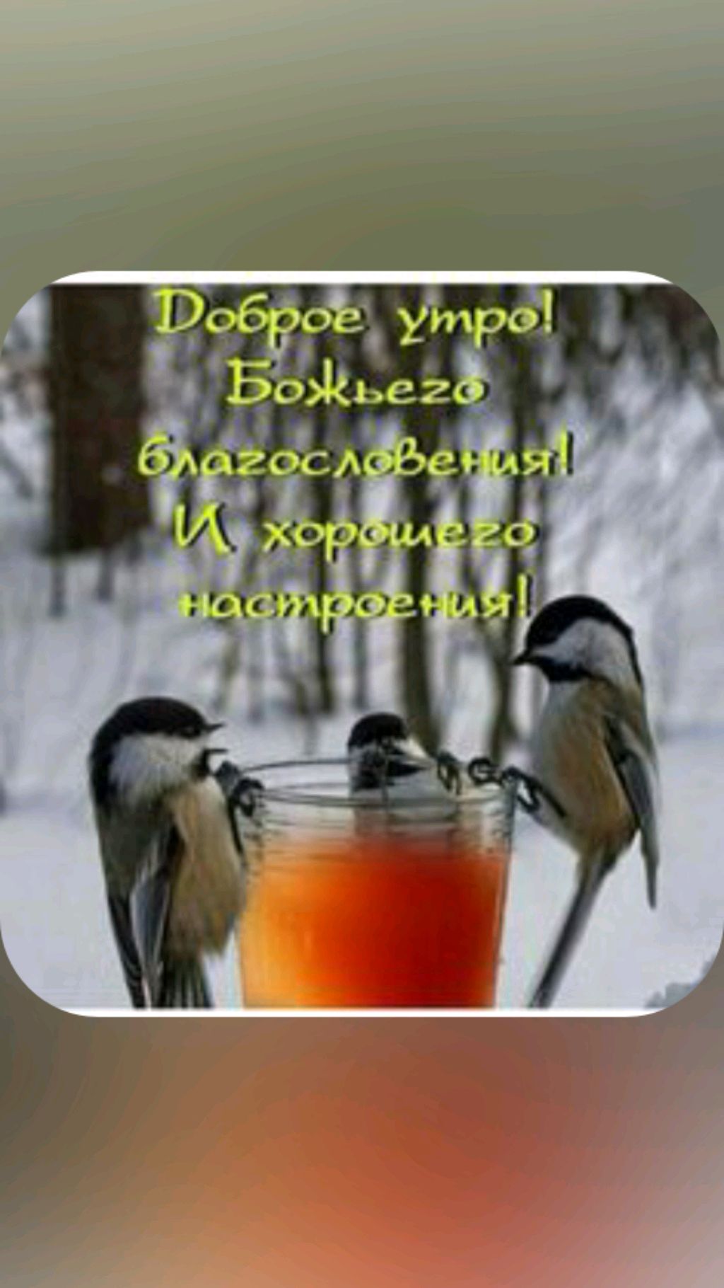 Зимний день а Амурске. смотреть онлайн