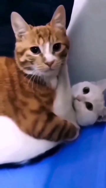 Когда зашёл не вовремя 🤣🤣🤣 смотреть онлайн